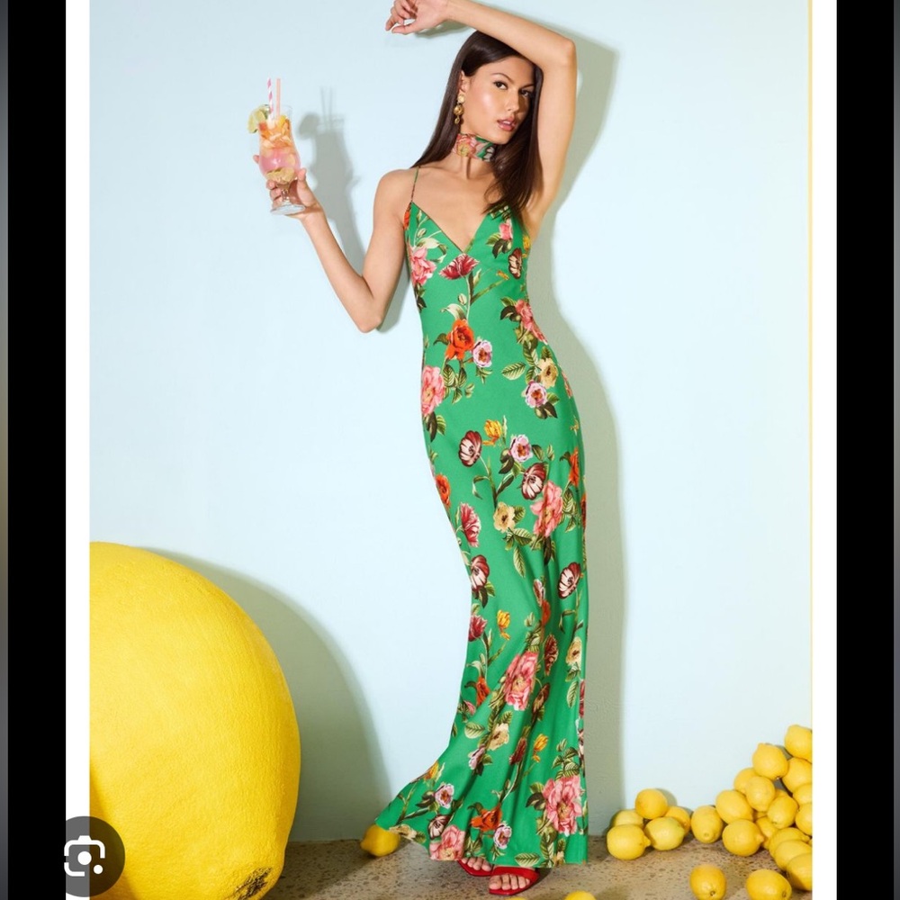 Alice + Olivia Loma Green Floral Slip Maxi Dress